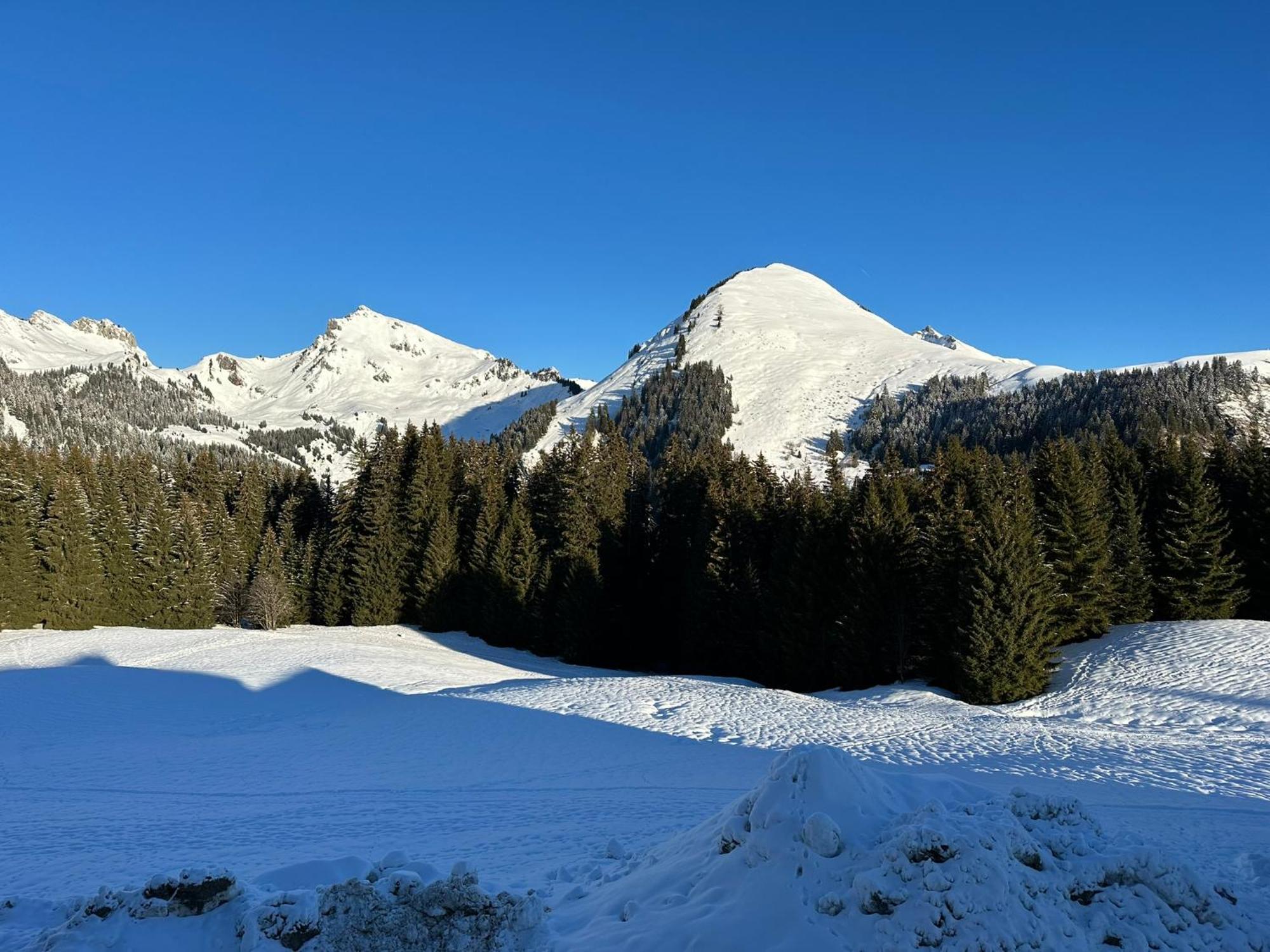 Studio Au Coeur Du Praz-De-Lys - Les Pralyssimes Le Praz de Lys Exterior photo