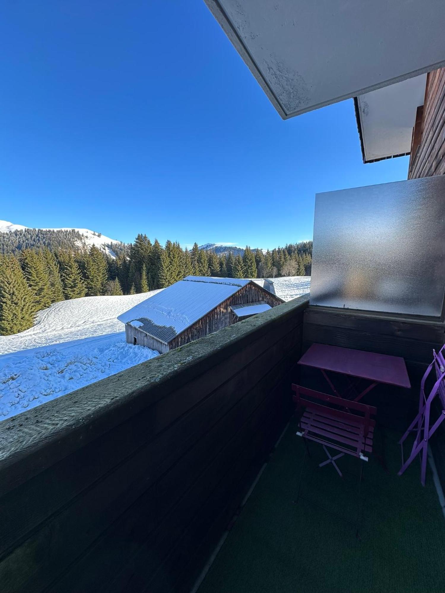 Studio Au Coeur Du Praz-De-Lys - Les Pralyssimes Le Praz de Lys Exterior photo