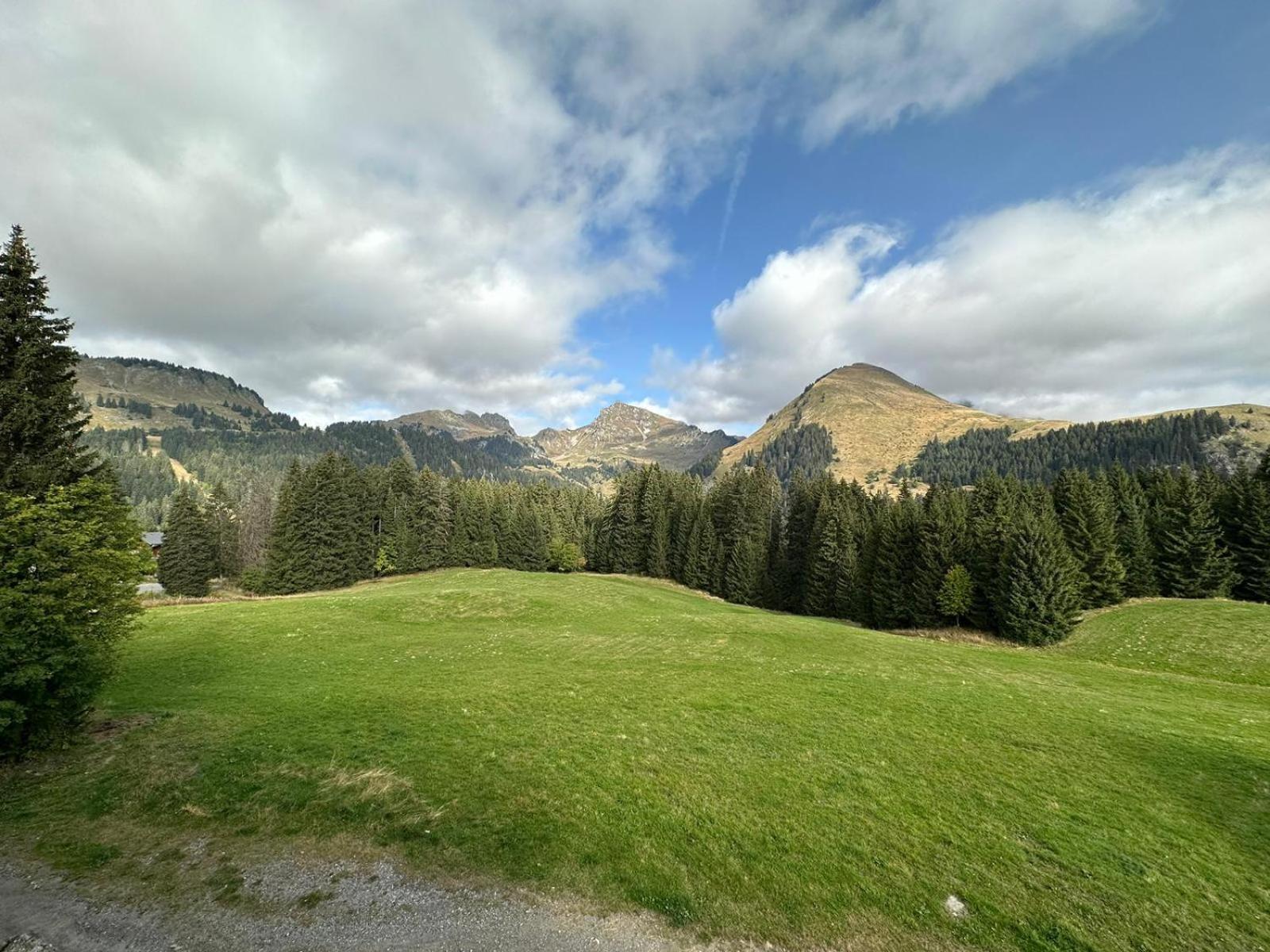Studio Au Coeur Du Praz-De-Lys - Les Pralyssimes Le Praz de Lys Exterior photo