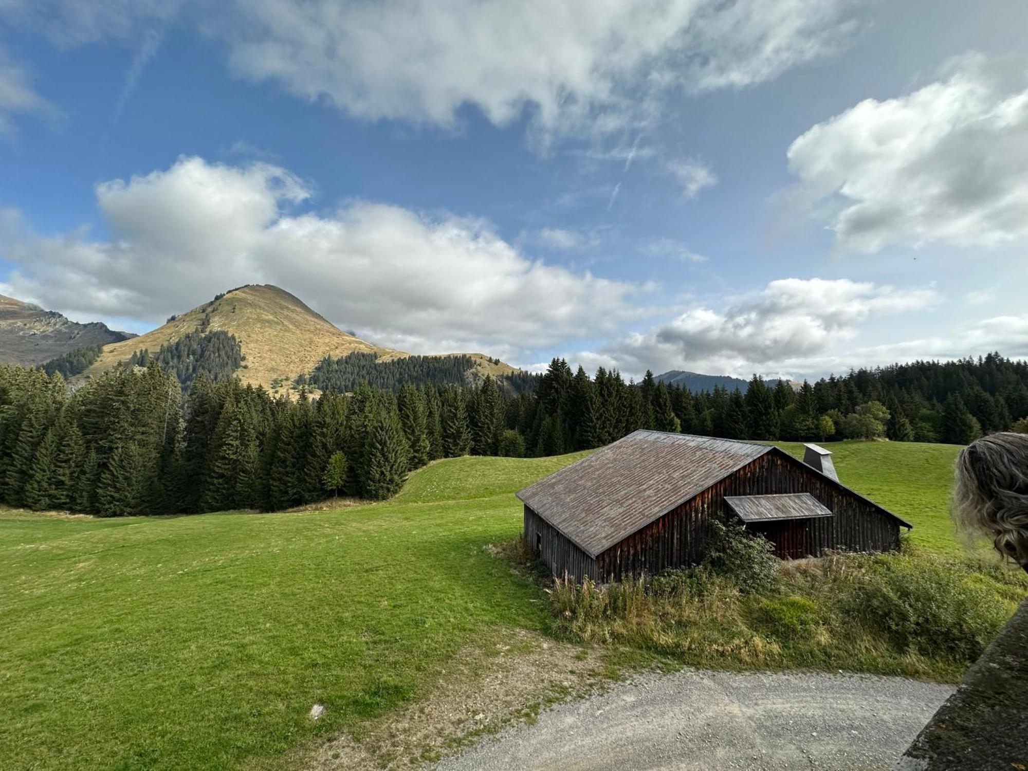 Studio Au Coeur Du Praz-De-Lys - Les Pralyssimes Le Praz de Lys Exterior photo