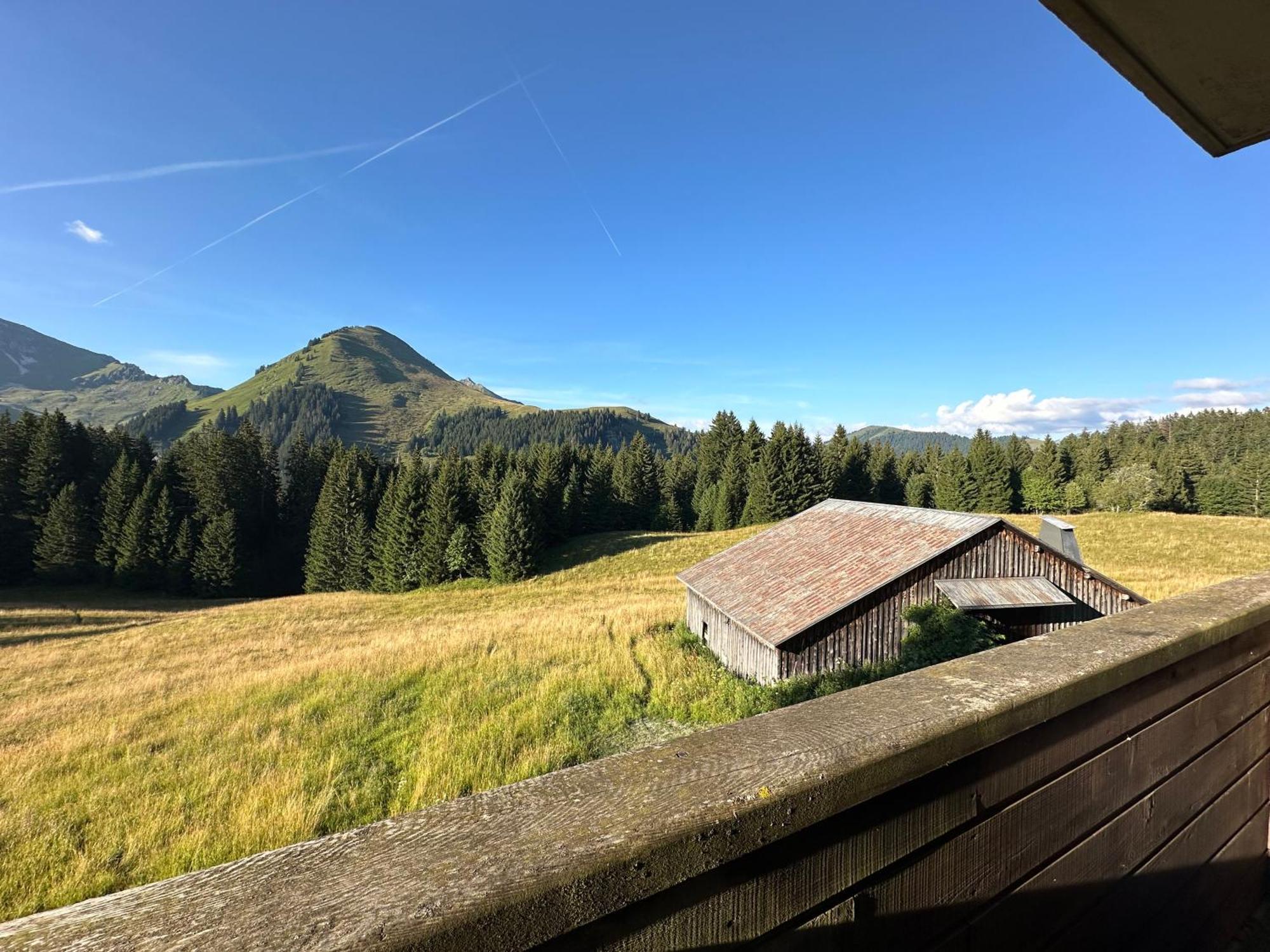 Studio Au Coeur Du Praz-De-Lys - Les Pralyssimes Le Praz de Lys Exterior photo